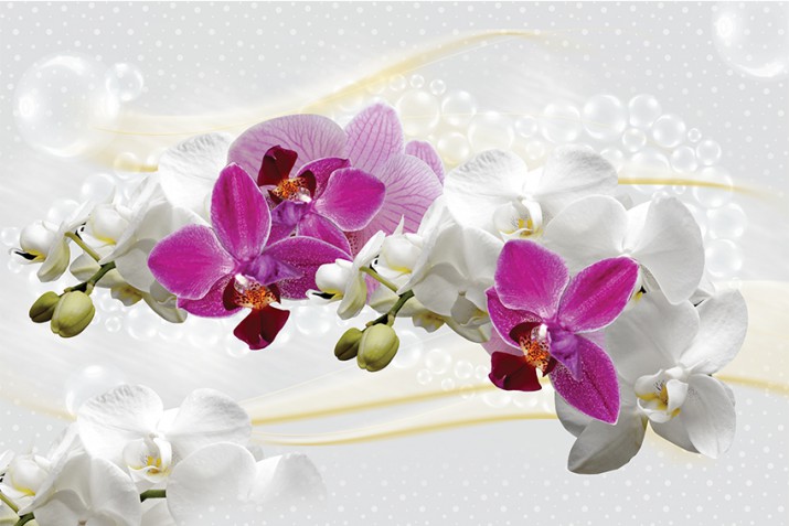 Fototapeta na ścianę tapeta na fizelinie do sypialni Orchideowa delikatność 10146 - zdjęcie 2