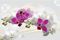 Fototapeta na ścianę tapeta na fizelinie do sypialni Orchideowa delikatność 10146 Naklejkomania - zdjecie 2 - miniatura