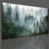 Obraz na ścianę do sypialni salonu las we mgle 41237 Naklejkomania - zdjecie 2 - miniatura