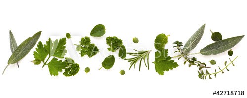 Herb Border over White Background - zdjęcie 1