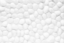 Tapety samoprzylepne na ściane do salonu 272956501 Białe muszle Naklejkomania - zdjecie 2 - miniatura