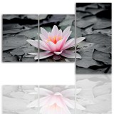 Tryptyk do salonu - Kwiaty, lotos, lilia 12129 Naklejkomania - zdjecie 1 - miniatura