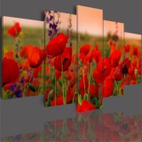 Obrazy 5 częściowe- Łąka kwiaty maki 507 Naklejkomania - zdjecie 2 - miniatura