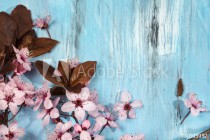 Spring cherry blossoms Naklejkomania - zdjecie 1 - miniatura