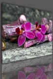 Obrazy jednoczęściowe- Kwiaty, orchidea 524 Naklejkomania - zdjecie 2 - miniatura