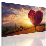 Obraz na ramie płótno canvas- Pejzaż, drzewo, serce 10401 Naklejkomania - zdjecie 1 - miniatura