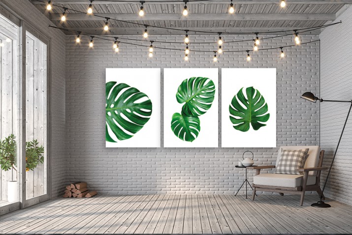 WYPRZEDAŻ 60X120 Obrazy na ścianę do salonu  sypialni 41218 liście monstera - zdjęcie 3