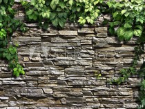 Fototapeta na ścianę, rośliny pnące się po ścianie kamienie 42226 Naklejkomania - zdjecie 2 - miniatura