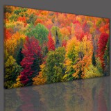 Obraz na ścianę do sypialni salonu jesień w lesie  41316 Naklejkomania - zdjecie 3 - miniatura