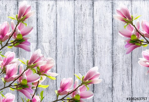 Fototapeta na ścianę Magnolia szare deski 42341 - zdjęcie 3
