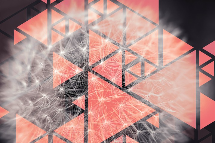 Fototapeta na ścianę tapeta na fizelinie do salonu Dmuchawcowa geometria 10542 - zdjęcie 2