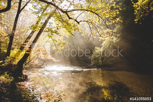Rural river with sunlight shining through trees - zdjęcie 1
