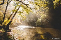 Rural river with sunlight shining through trees Naklejkomania - zdjecie 1 - miniatura