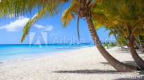 Caribbean beach paradise dominican republic island Saona with palm tree Naklejkomania - zdjecie 1 - miniatura