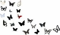 Naklejane motylki na ścianę motylki4 NT Naklejkomania - zdjecie 5 - miniatura