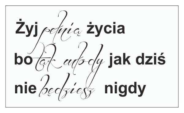 633 Naklejki napisy ścienne Żyj pełnią życia - zdjęcie 2