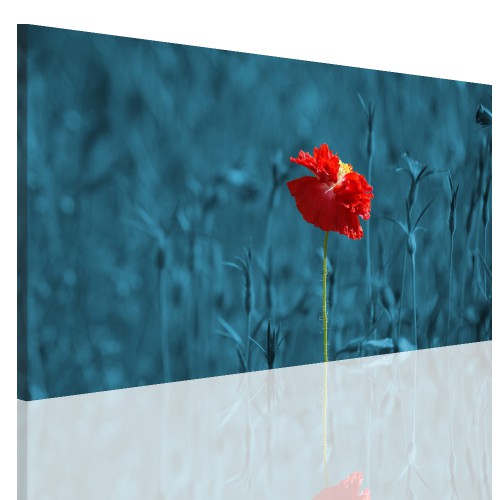 Obraz na ramie płótno canvas- obraz kwiaty łąka mak 15061 Naklejkomania - zdjecie 1