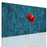 Obraz na ramie płótno canvas- obraz kwiaty łąka mak 15061 Naklejkomania - zdjecie 1 - miniatura