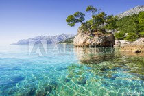 Beautiful bay near Brela town, Makarska rivera, Dalmatia, Croatia Naklejkomania - zdjecie 1 - miniatura