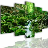 Obrazy 5 częściowe- Las, strumień, wodospad 515 Naklejkomania - zdjecie 1 - miniatura