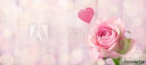 Romantic rose flower background with heart Naklejkomania - zdjecie 1 - miniatura