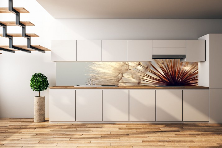 Panel szklany do kuchni  14341  dmuchawiec