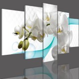 Obrazy 5 częściowe- Storczyk, orchidea, zen 12301 Naklejkomania - zdjecie 3 - miniatura