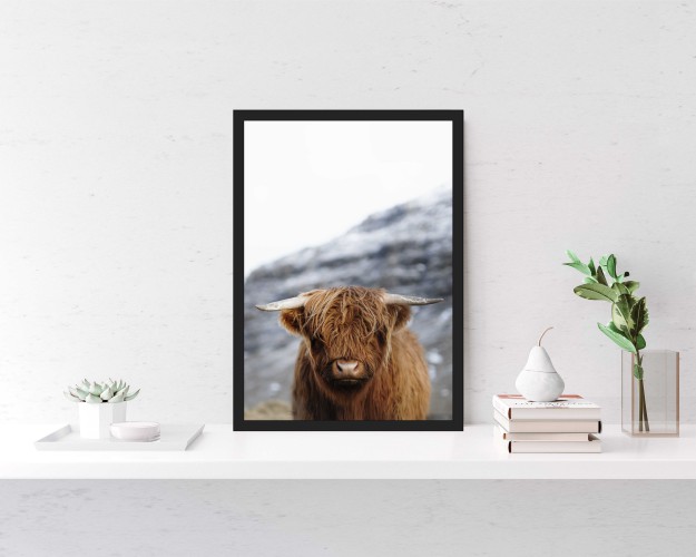 Plakat zima, bawół 61249 - zdjęcie 2