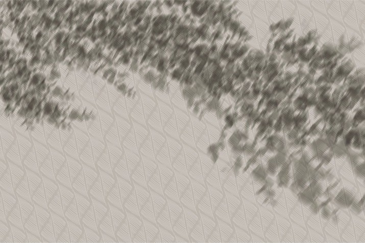 Fototapeta ścienna  tekstura 42006 - zdjęcie 2