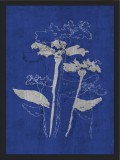 Plakat kobaltowa abstrakcja 23022 Naklejkomania - zdjecie 1 - miniatura