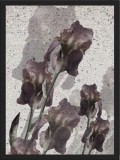 Plakat kwiaty 23067 Naklejkomania - zdjecie 1 - miniatura