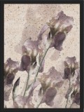 Plakat kwiaty 23066 Naklejkomania - zdjecie 1 - miniatura