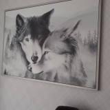 Opinia od Dorota