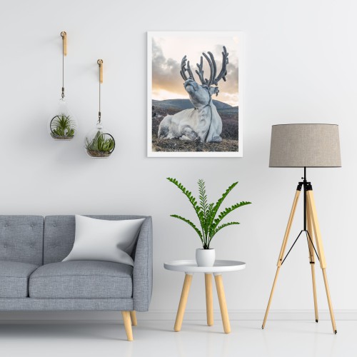 Plakat na ścianę poster plakaty ścienne 61376 - zdjęcie 2