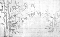 Fototapety na ścianę Szarości Bambusy 42107 Naklejkomania - zdjecie 2 - miniatura