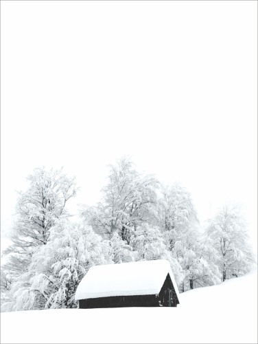 Plakat na ścianę poster plakaty ścienne 61380 - zdjęcie 3