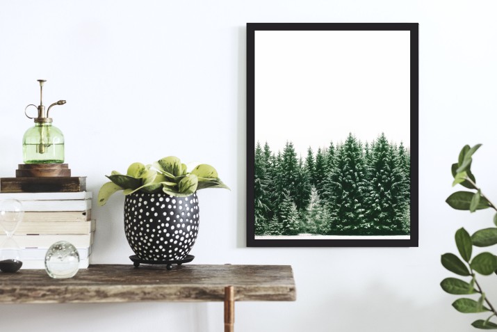 Plakat na ścianę poster plakaty ścienne 61378 - zdjęcie 2