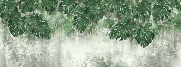 Fototapety na ścianę Monstera 42127 - zdjęcie 2