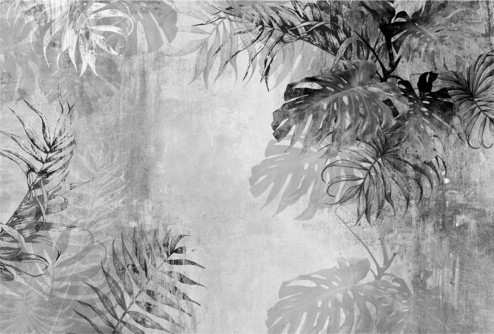 Fototapety na ścianę Monstera 42118 - zdjęcie 2