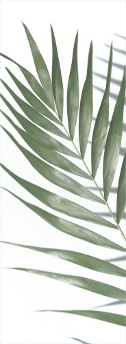 Naklejka na prysznic naklejka na szybę prysznicową z folii mrożonej 63806 - zdjęcie 2