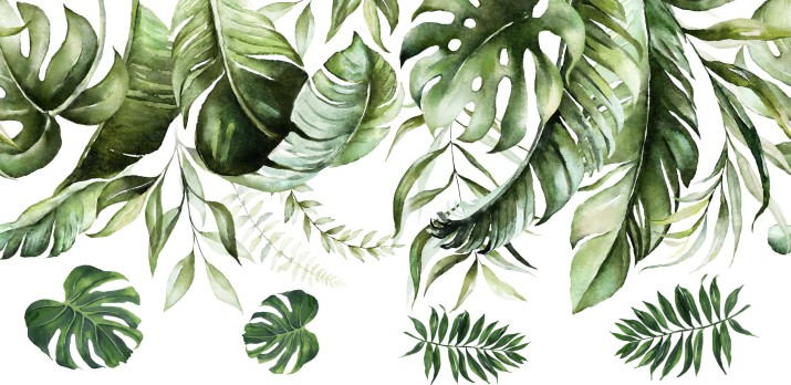 Naklejki na ścianę liście monstera 22022 - zdjęcie 2