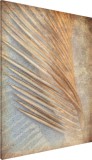 Obraz na ścianę do sypialni liść palmowy 20431 Naklejkomania - zdjecie 1 - miniatura