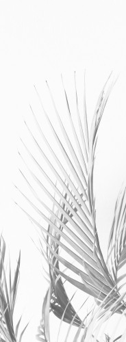 Naklejka na kabinę prysznicową naklejka na szybę z folii mrożonej 63808 - zdjęcie 2