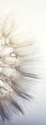 Naklejka na drzwi prysznicowe naklejka na prysznic z folii mrożonej 63813 - zdjęcie 2