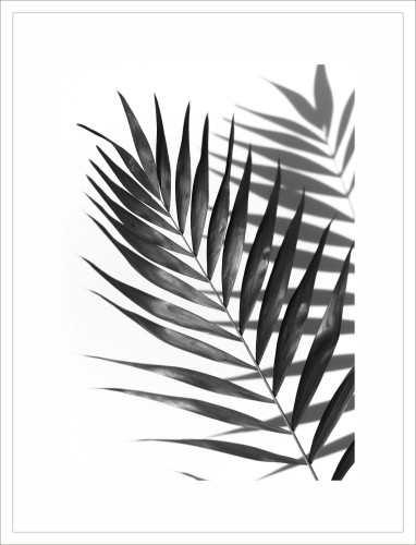 Plakat na ścianę poster 61332 - zdjęcie 3