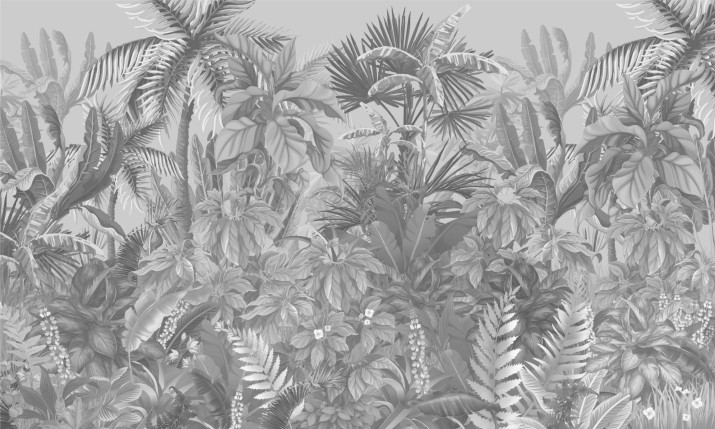 Fototapeta na ścianę Zaczarowana Jungla 42121 - zdjęcie 2
