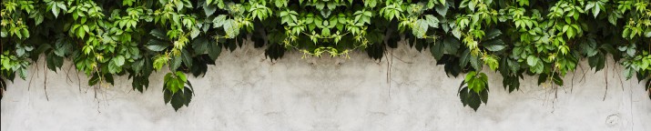 Baner ozdobny na balkon osłona dekoracyjna 67232 - zdjęcie 2