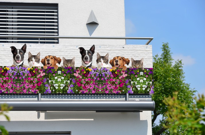 Baner ozdobny na balkon osłona dekoracyjna 67251