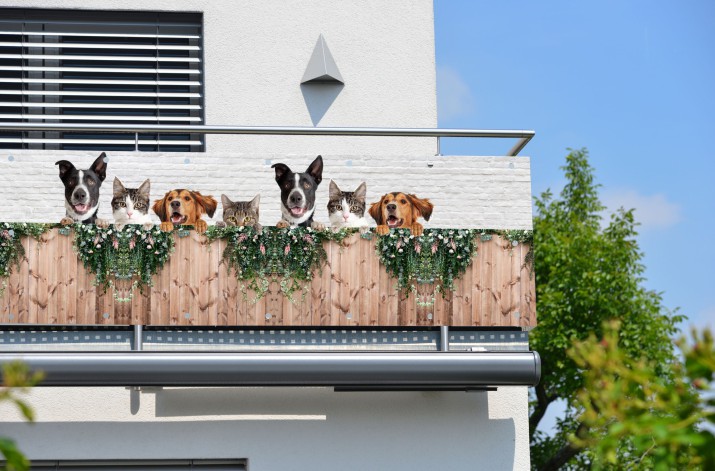 Baner ozdobny na balkon osłona dekoracyjna 67253
