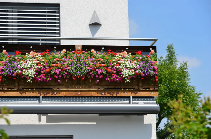 Baner ozdobny na balkon osłona dekoracyjna 67240